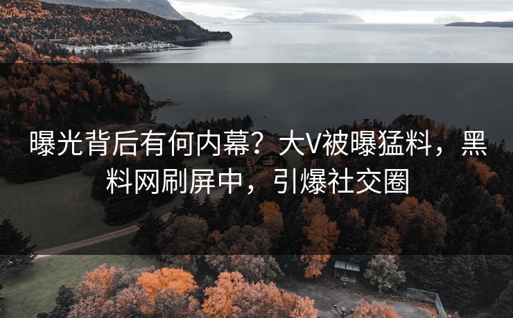 曝光背后有何内幕？大V被曝猛料，黑料网刷屏中，引爆社交圈