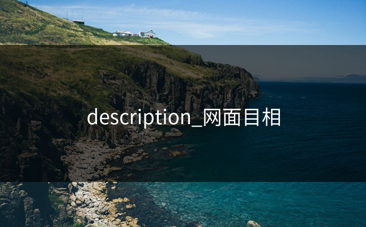 description_网面目相