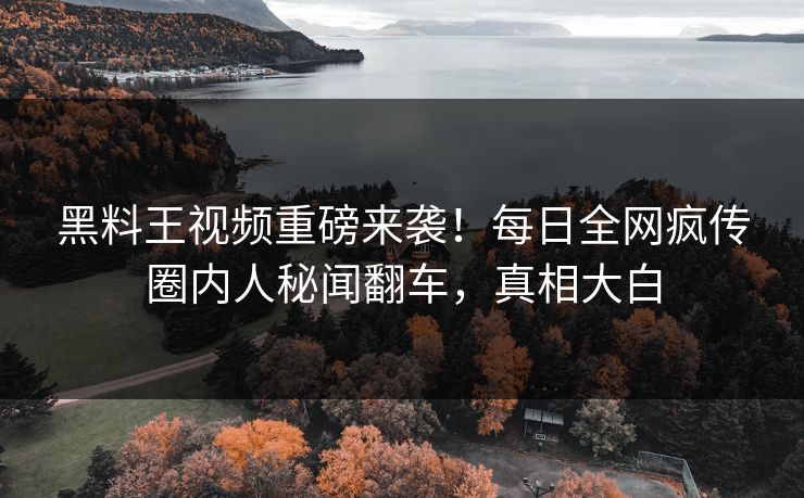 黑料王视频重磅来袭！每日全网疯传圈内人秘闻翻车，真相大白