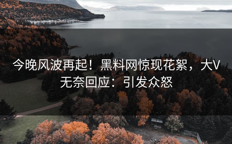 今晚风波再起！黑料网惊现花絮，大V无奈回应：引发众怒