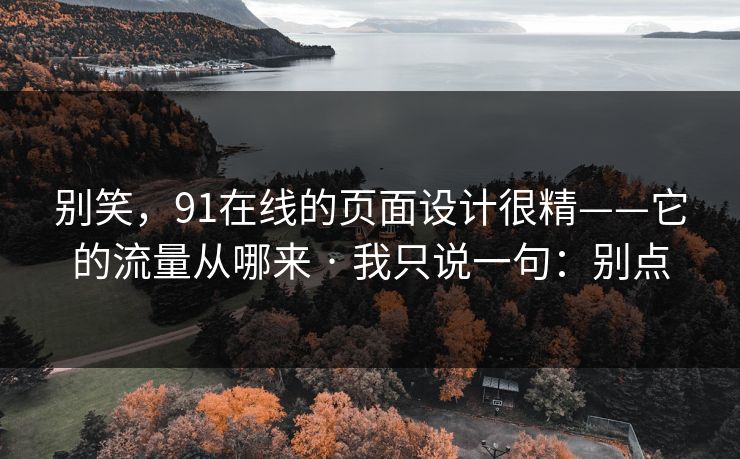 别笑，91在线的页面设计很精——它的流量从哪来 · 我只说一句：别点